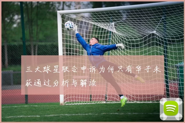 三大球星联合申诉为何只有华子未获通过分析与解读