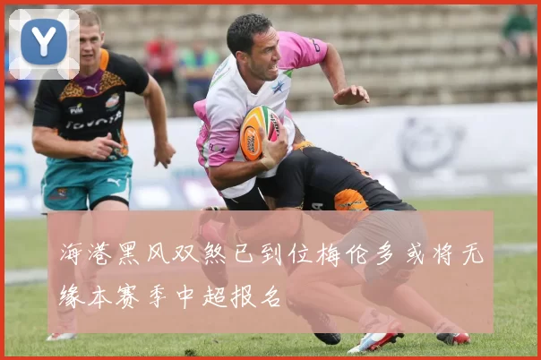 海港黑风双煞已到位梅伦多或将无缘本赛季中超报名